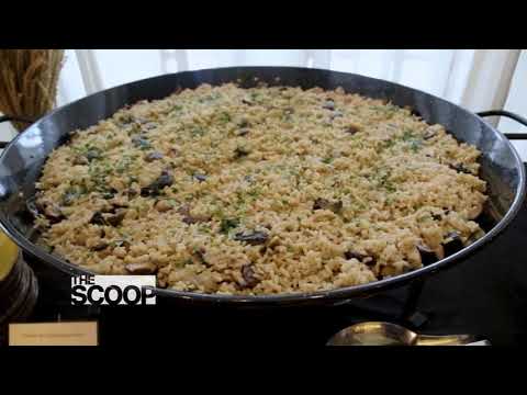 The Scoop - Discovery Primea