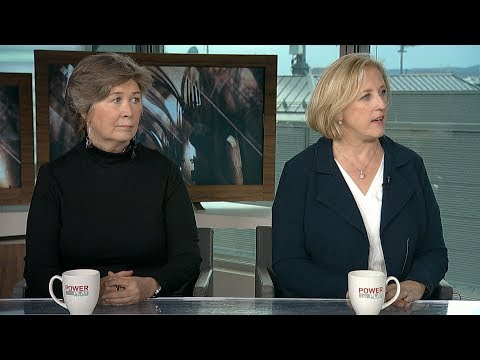 Lisa Raitt on Conservative's campaign review: 