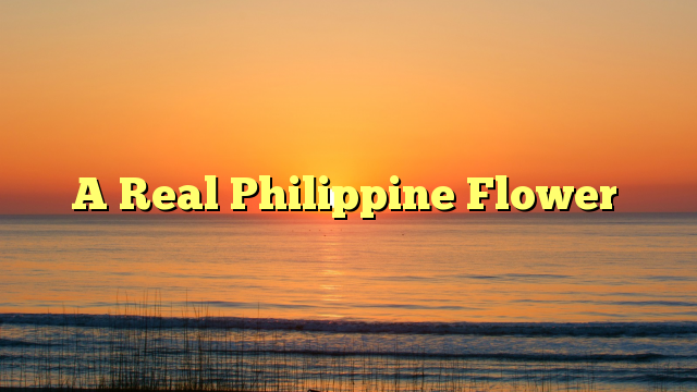 A Real Philippine Flower