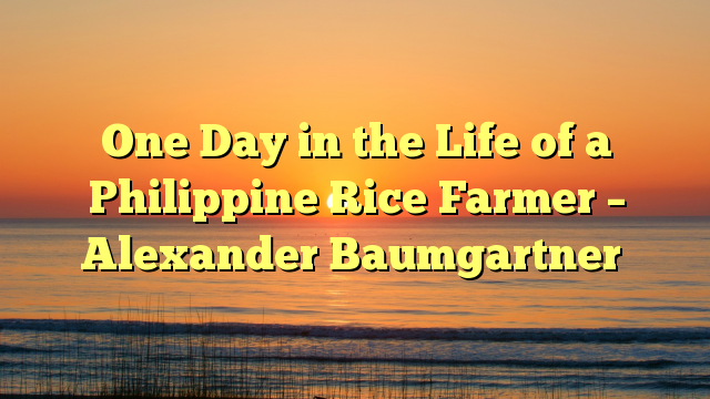 One Day in the Life of a Philippine Rice Farmer – Alexander Baumgartner