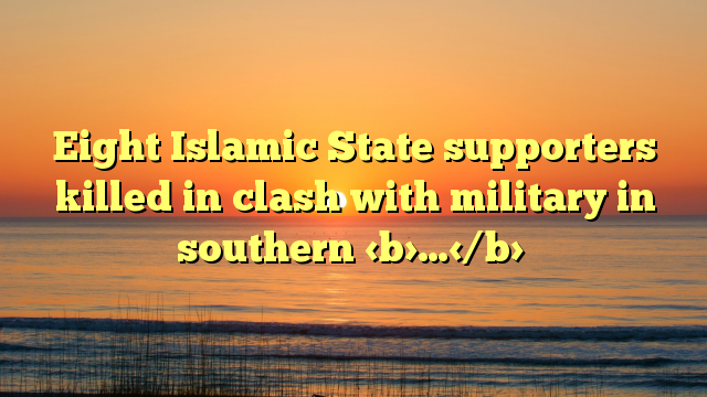 Eight Islamic State supporters killed in clash with military in southern …