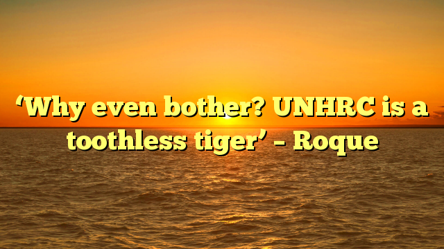 ‘Why even bother? UNHRC is a toothless tiger’ – Roque