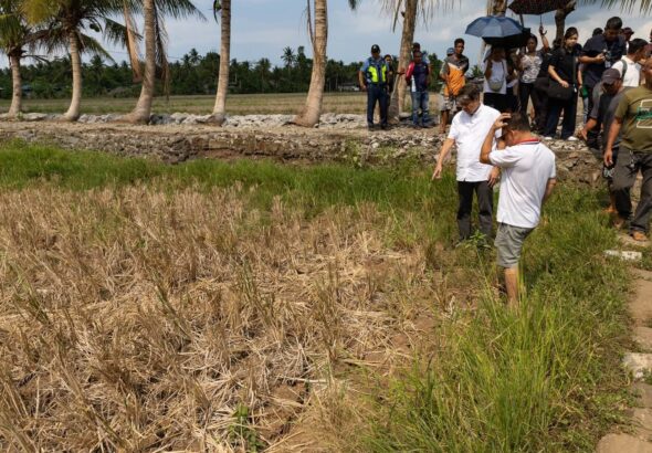 Dry, cracked rice field in Camalig, Albay affected by El Niño drought
